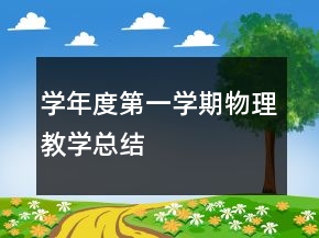 學(xué)年度第一學(xué)期物理教學(xué)總結(jié)