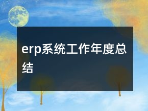 erp系統(tǒng)工作年度總結(jié)