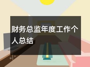 財務(wù)總監(jiān)年度工作個人總結(jié)