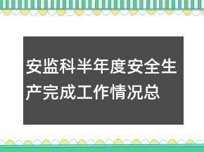 安監(jiān)科半年度安全生產(chǎn)完成工作情況總結(jié)