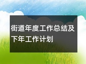 街道年度工作總結(jié)及下年工作計(jì)劃