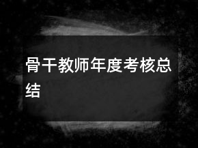 骨干教師年度考核總結(jié)