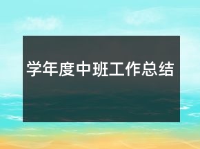 學(xué)年度中班工作總結(jié)