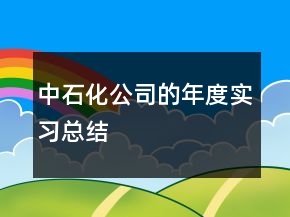 中石化公司的年度實習總結