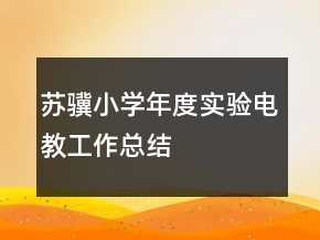 蘇驥小學(xué)年度實(shí)驗(yàn)電教工作總結(jié)