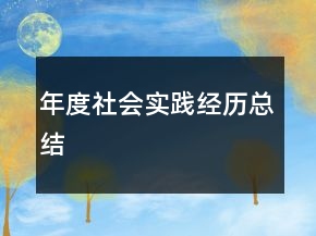 年度社會實踐經(jīng)歷總結(jié)