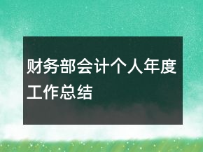 財務部會計個人年度工作總結