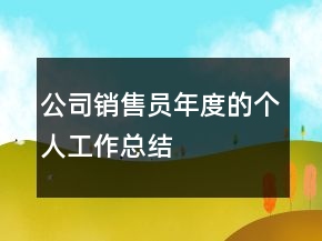 公司銷售員年度的個人工作總結(jié)