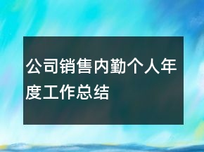 公司銷售內勤個人年度工作總結