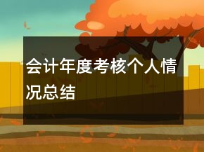 會計年度考核個人情況總結(jié)