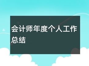 會計(jì)師年度個(gè)人工作總結(jié)