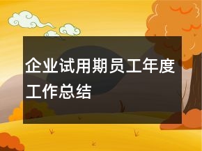 企業(yè)試用期員工年度工作總結(jié)