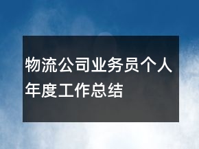 物流公司業(yè)務(wù)員個(gè)人年度工作總結(jié)