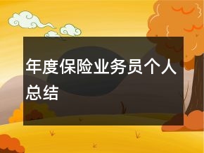 年度保險業(yè)務(wù)員個人總結(jié)
