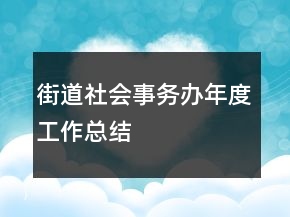 街道社會事務辦年度工作總結