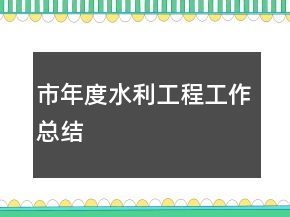 市年度水利工程工作總結(jié)
