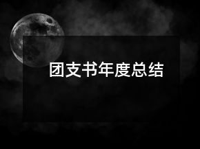 團(tuán)支書年度總結(jié)