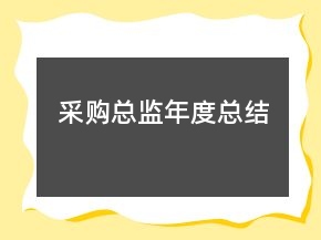 采購(gòu)總監(jiān)年度總結(jié)