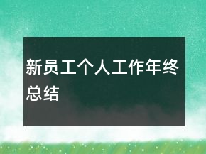 新員工個(gè)人工作年終總結(jié)