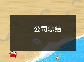 公司總結(jié)