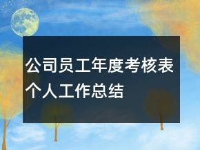 公司員工年度考核表個人工作總結(jié)