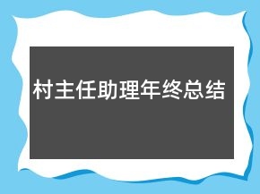 村主任助理年終總結(jié)