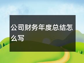 公司財務(wù)年度總結(jié)怎么寫