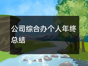 公司綜合辦個(gè)人年終總結(jié)
