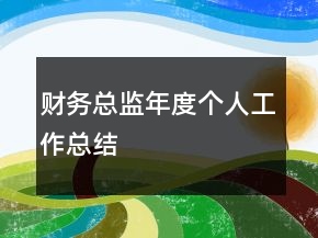 財(cái)務(wù)總監(jiān)年度個(gè)人工作總結(jié)