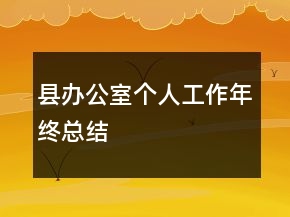 縣辦公室個人工作年終總結