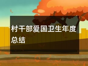 村干部愛(ài)國(guó)衛(wèi)生年度總結(jié)