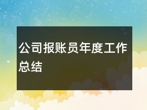 公司報(bào)賬員年度工作總結(jié)