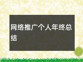 網(wǎng)絡(luò)推廣個人年終總結(jié)