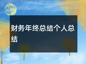 財務(wù)年終總結(jié)個人總結(jié)