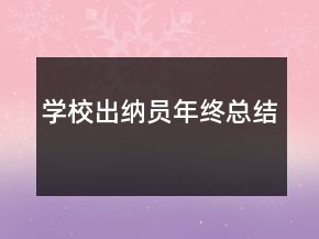 學校出納員年終總結