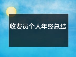收費(fèi)員個(gè)人年終總結(jié)