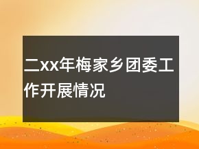 二、xx年梅家鄉(xiāng)團委工作開展情況