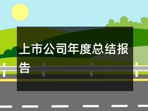 上市公司年度總結(jié)報(bào)告