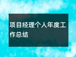 項目經(jīng)理個人年度工作總結(jié)
