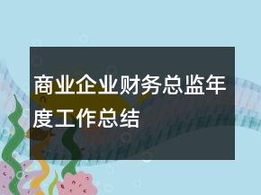 商業(yè)企業(yè)財務(wù)總監(jiān)年度工作總結(jié)