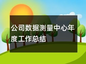 公司數(shù)據(jù)測量中心年度工作總結(jié)