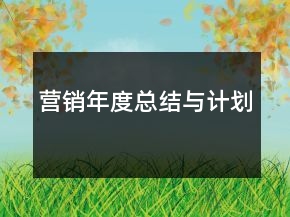 營銷年度總結(jié)與計劃