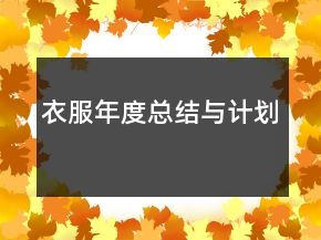 衣服年度總結(jié)與計劃