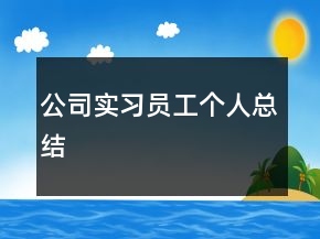 公司實習(xí)員工個人總結(jié)