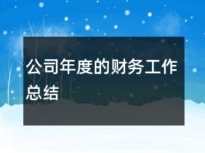 公司年度的財務(wù)工作總結(jié)