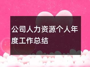 公司人力資源個人年度工作總結(jié)