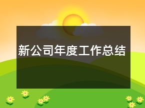 新公司年度工作總結(jié)