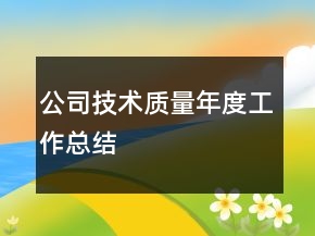 公司技術(shù)質(zhì)量年度工作總結(jié)