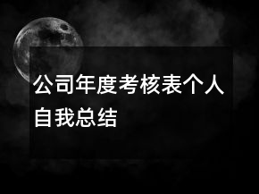 公司年度考核表個人自我總結(jié)