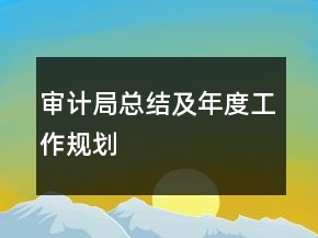 審計局總結(jié)及年度工作規(guī)劃